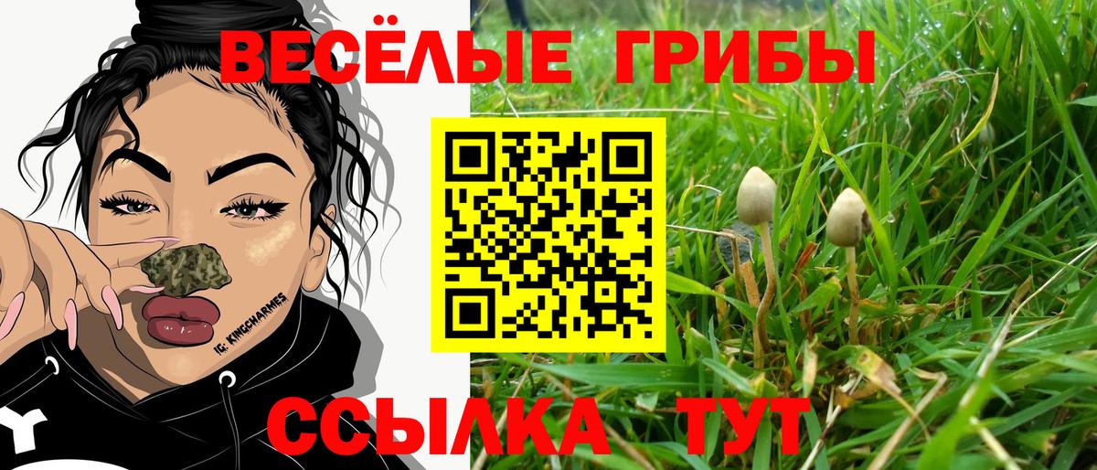 Шелехов  Псилоцибиновые грибы ЛСД  купить закладку  Вход с VPN 
