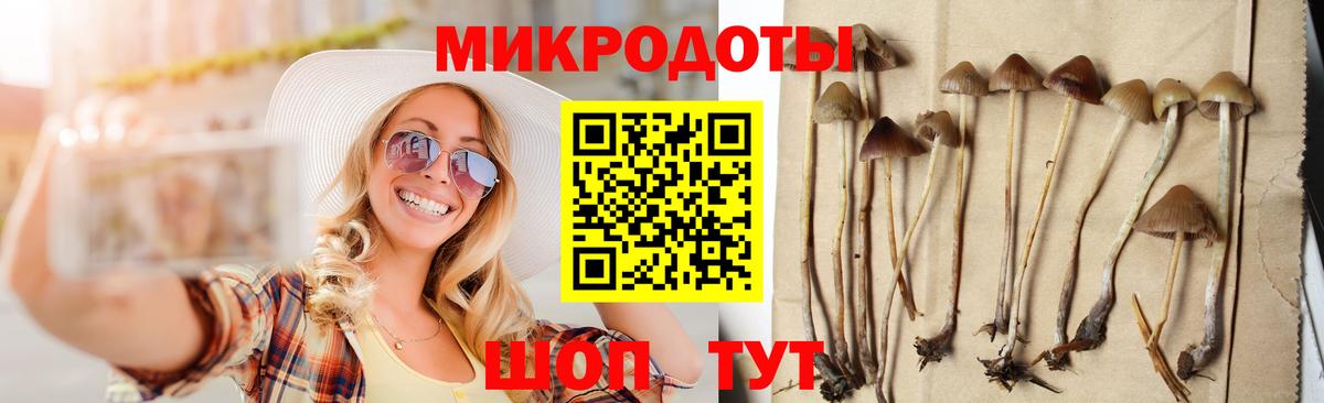 Псилоцибиновые грибы Magic Shrooms Шелехов